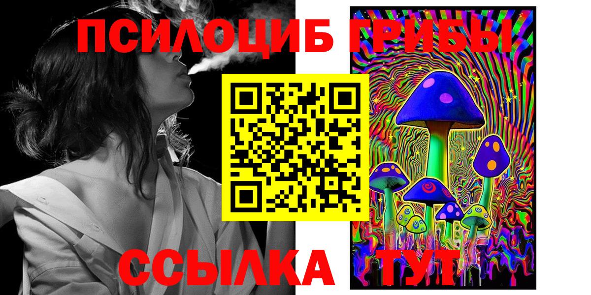 Пушкино  Галлюциногенные грибы прущие грибы  Вход с VPN 