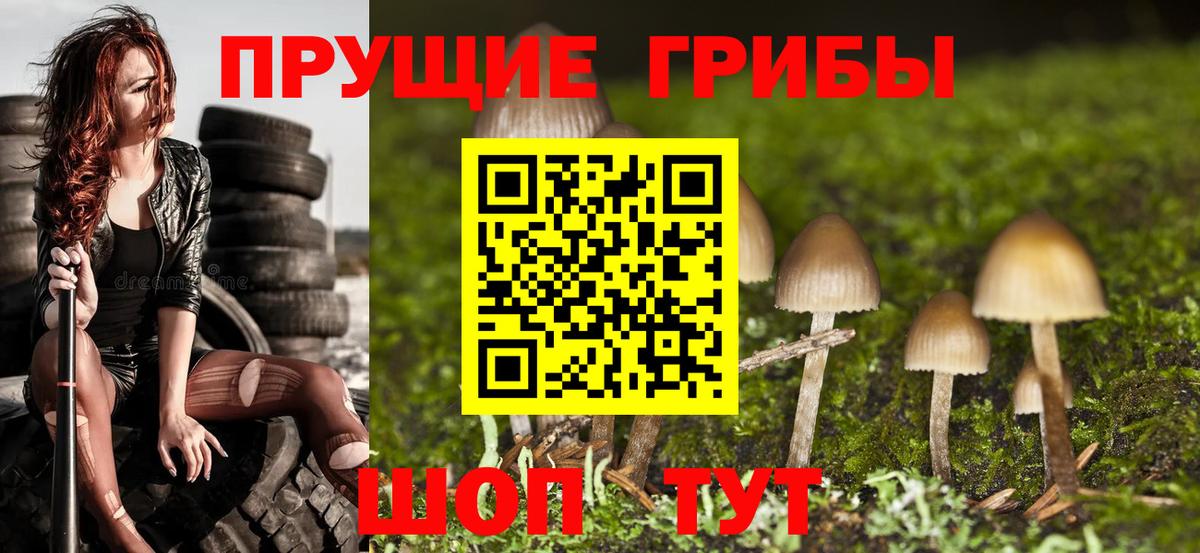 Галлюциногенные грибы Magic Shrooms Пушкино